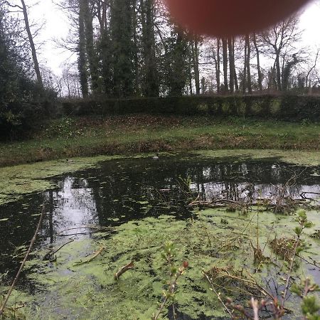 Le Colombier De Royaumont Villa Saint-Arnoult  Екстериор снимка
