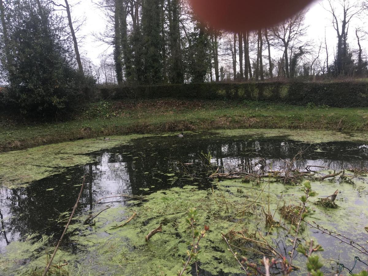 Le Colombier De Royaumont Villa Saint-Arnoult  Екстериор снимка